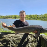 matyq31n Profiilikuva