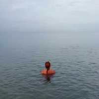 GingerFoxyのアバター写真