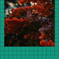 Woap's Avatar Pic