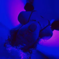 mental_lagoon_xxx