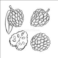 WachinaRubia Poză de profil