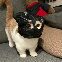 0xbara's Profile Pic