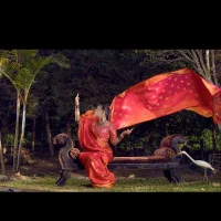 Foto do avatar de Indira__love