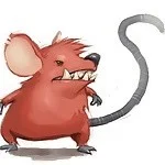 iamratjerk's Profile Pic