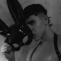 Houston__bull