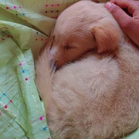 Sexygirl_Naidu_Telugu's Avatar Pic