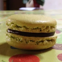 Foto do avatar de Fan_de_Nikiita