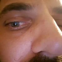 Dibo88x's Profile Pic