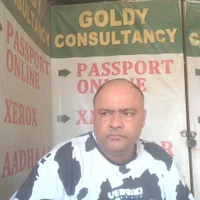 ASSAMGOLDYS512