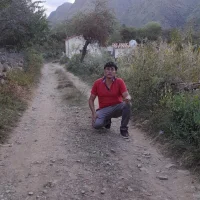 Daniel266's Profile Pic