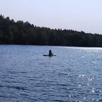 LilyCumin's Profile Pic