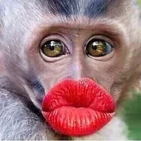 whitesnake1960 Adlı Modelin Avatarı