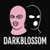 DarkBlssom's Offline Chat Room
