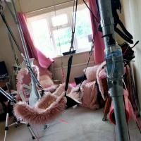 AsStraightAsARuler's Avatar Photo