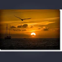 صورة أفاتار abdulla75