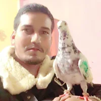 KingSzakeer Adlı Modelin Avatarı