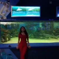 Kailehuangjindadang avatarbilde