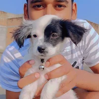 mr_killer01's Profile Pic