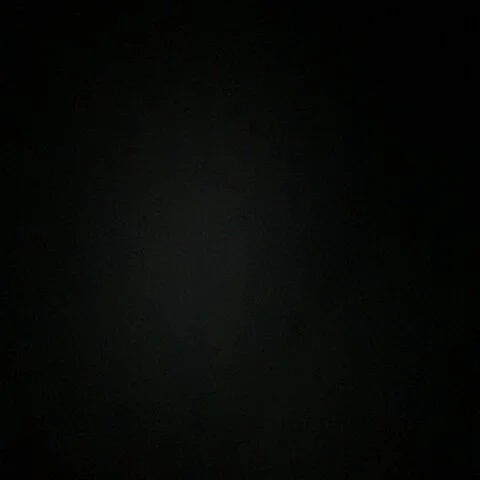 slaaa290 profile photo