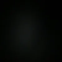 slaaa290