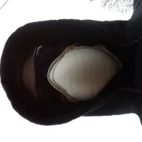 rollit1000's Avatar Pic