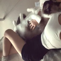 -siyubaby-