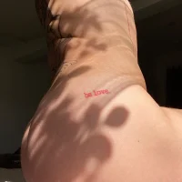 tommyteaser's Profile Pic
