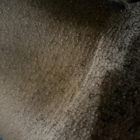 Tlou3's Profile Pic