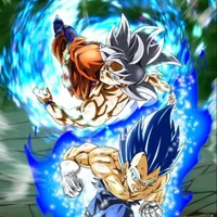 Gogeta12341 아바타 사진