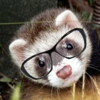 OolongTee's Avatar Pic