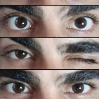 Аватар litoteam