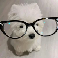 LLuuuuuuu's Avatar Pic
