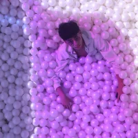 Gambar Profil the_princeRed