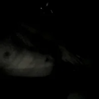 Modèle webcam Chico40Espa