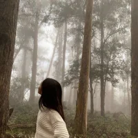 lola_shyy   头像图片