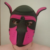 schumster - Profil Fotoğrafı