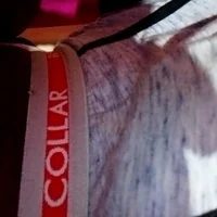 Ảnh đại diện của SisterlyFarmhand