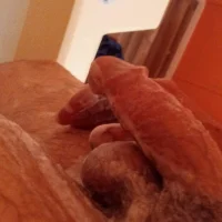 MrTrey1985's Profile Pic