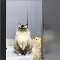 xixi_xixi_xixi 头像图片