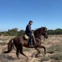 Foto de perfil de Javix77788