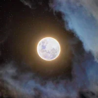 Herman_000 avatarképe