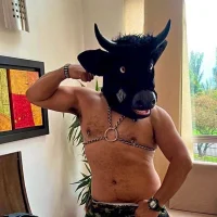 รูปอวาตาร์ของ the_master_foal_