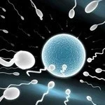 Videowatcher's Avatar Pic