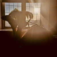KatieCarterx's Avatar Pic