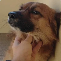 giliartcd's Profile Pic