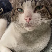 Foto desnuda XXX de CarlospollaXL