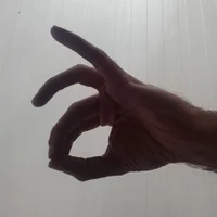 tony_shlongs profilbillede