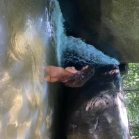 Beamatarazzo's Profilna slika