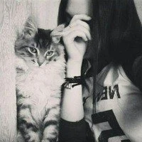 Profilová fotka AimiNikoto