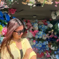 wangxi_